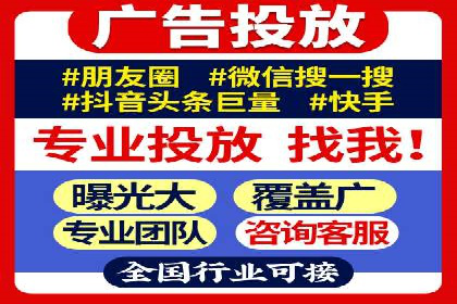 如何在sem竞价托管中取得卓越效果——案例解读